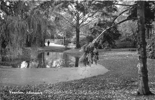 BG30206 veendam julianapark netherlands CPSM 14x9cm