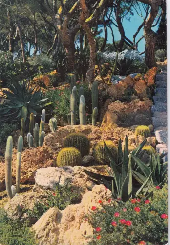 BF14080 jardin exotique a yens a cote d azur france front/back image