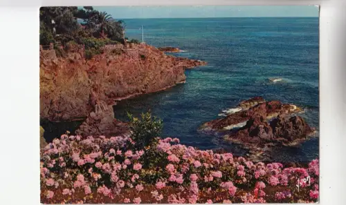 BF31562 cote de l esterel var cote d azur france front/back image