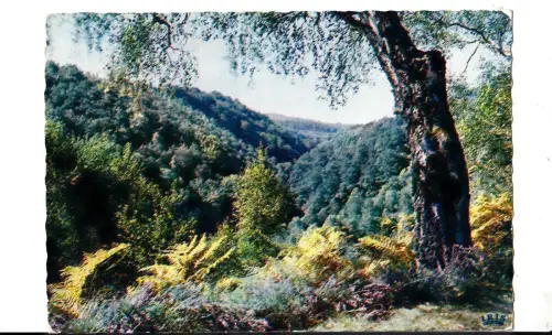 BF14082 environs de vallieres les gorges de la rigole france front/back image