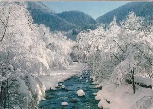 BF25329 neige et soleil le torrent en hiver france front/back image