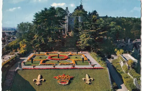 BF15529 langeais le parc et les ruines du chateau france Front/Back Image