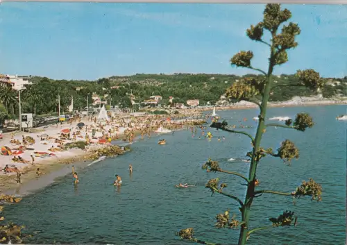 BF21554 bandol la plage france front/back image