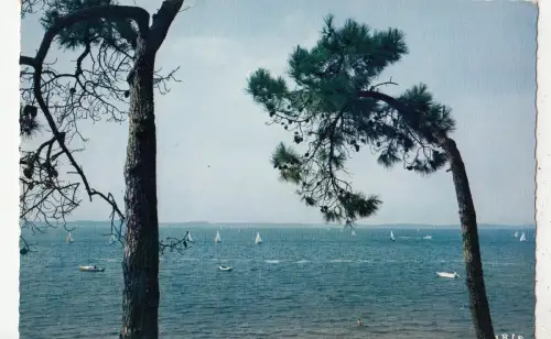BF24423 Bassin d Arcachon vue d Ensemble Frankreich Vorder-/Rückbild