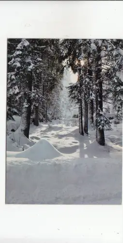 BF20224 gerardmer neige et soleil france front/back image