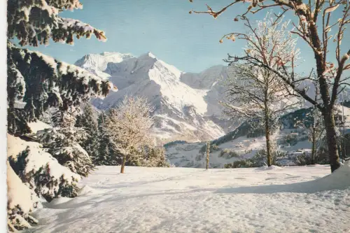 BF19652 le massif du mont blanc france front/back image