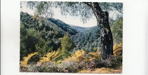 BF28627 creuse environs de vallieres les gorges de la france Front/Back Image