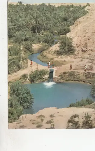 BF27109 Gabes Chenini Tunisia Front/Back Image