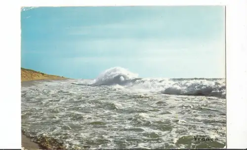 BF14451 landes fureur des vagues france front/back image