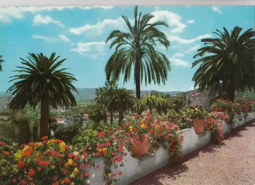 BF25410 cote d azur sa vegetation exotique france front/back image