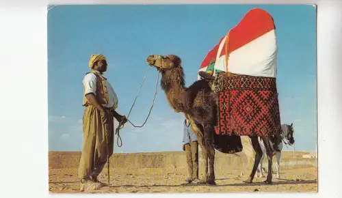 BF17717 algeria le sud fascinant le bacour camel front/back image