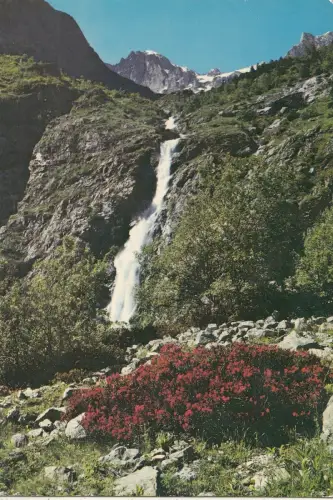 BF24897 aiguilles des marmes rhododendrons et cascade france front/back image