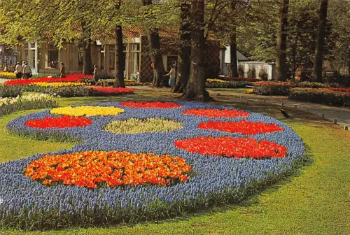 B110305 Niederlande Keukenhof Lisse Holland Blumen Promenade