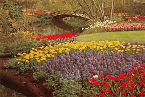 B110306 Niederlande Keukenhof Lisse Holland Blumenbrücke Fluss Pont