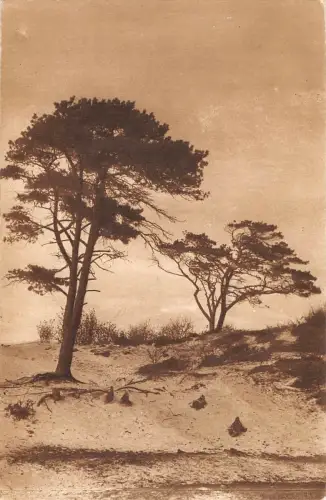 B105291 Eenzaamheid De Kerkelaan te Bergen Niederlande