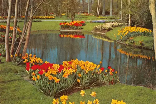 B110307 Niederlande Keukenhof Lisse Holland