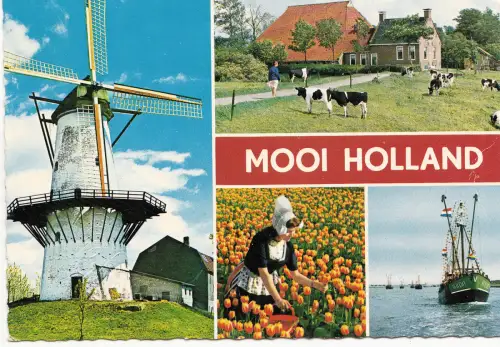 BF14282 mooi holland cow moulen a vent wind mill netherland front/back image