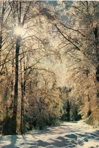 BF14520 l hiver entelles landscape france front/back image