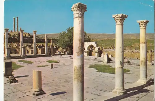 BF18820 ke marche de sertius timgad algeria front/back image