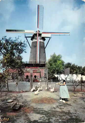 BR87980 zeeland netherlands windmill moulin a vent windmuhle netherlands