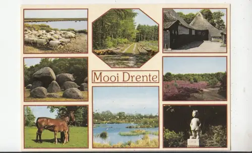 BF30365 mooi drente types niederlande front/back image