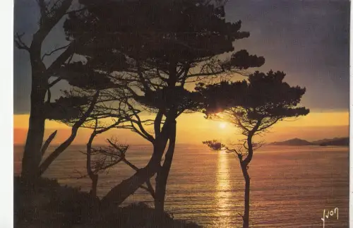 BF24480 crepuscule sur mer france front/back image