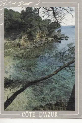 BF25620 calanque de la mediterranee france front/back image