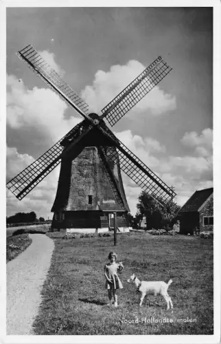 BF36796 noord hollandse molen Kind Ziege Windmühle moulen a vent Niederlande