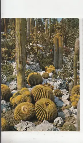 BF28763 eze village son jardin exotique france front/back image