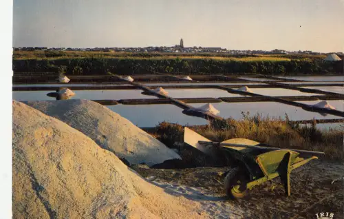 BF12762 guerande marais salants au coucher du soleil france front/back image