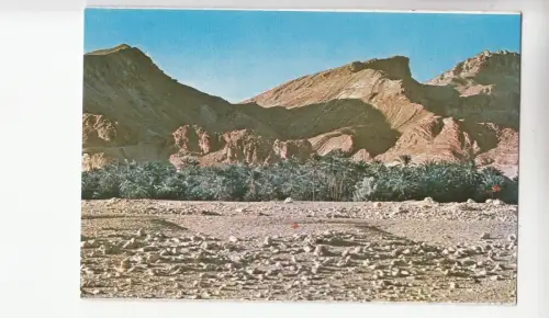 BF17630 tunesia piste dans le sud front/back image