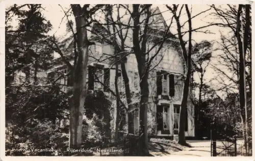 Lot116 Niederlande internes Ferienhaus Rijperduin Echtfoto
