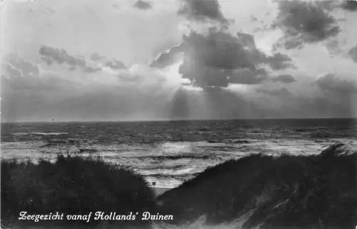 B93264 zeegezicht vanaf hollands duinen Echtfoto Niederlande