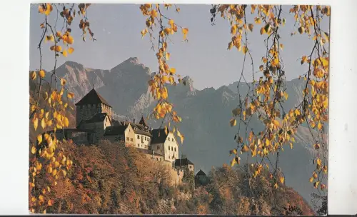 BF30858 Liechtenstein Schloss Vaduz Vorder-/Rückbild