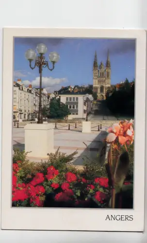 BF12655 wütend Frankreich Vorder-/Rückbild