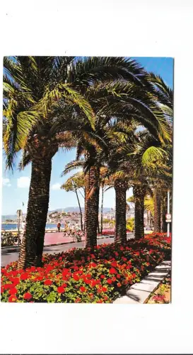 BF13523 la croisette et le suquet cannes france front/back image