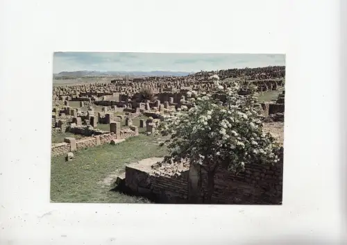 BF18895 les ruines vue generale timgad algeria front/back image
