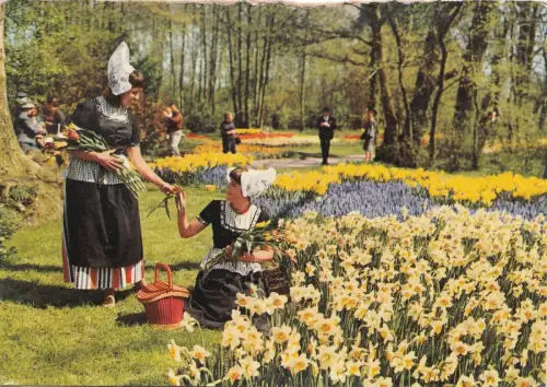 BF30016 holland in bloementooi types niederlande front/back image