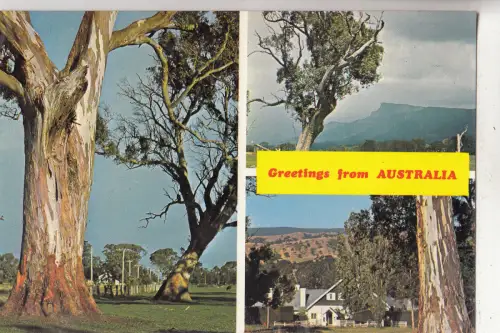 BF28108 australian scenes multi views front/back image