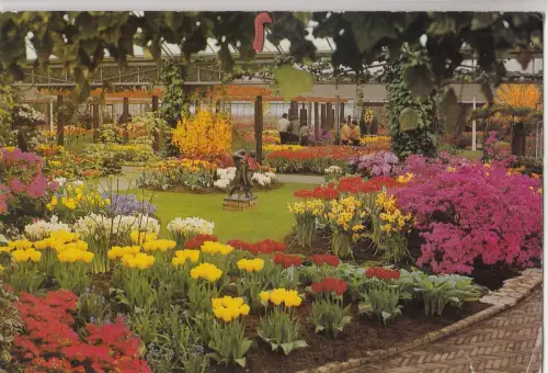 BF25221 Holland in Bloementoii Niederlande Front/Back Bild