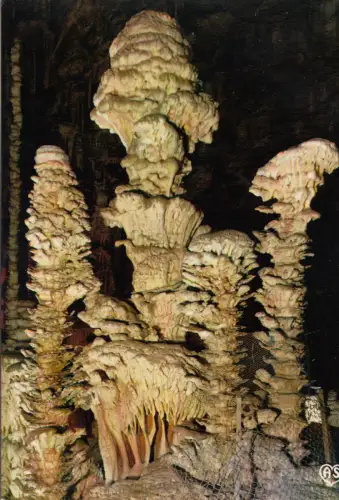 BF19958 grotte de l aven armand les choux fleurs france front/back image