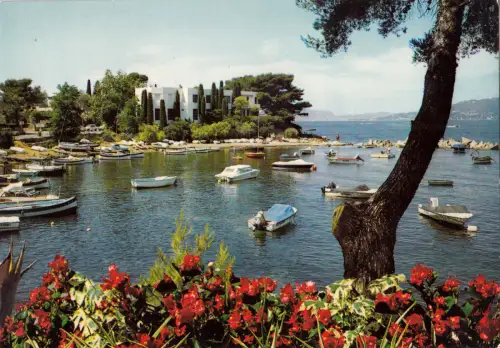 BF14503 juan les pins le port de l olivete ville aujourd france front/back image