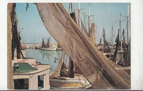 BF29937 riviera adriatica barche de pesca italy ship front/back image