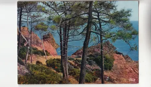 BF28849 corniche d or mediterranee cote d azur france front/back image