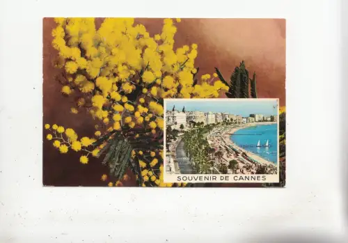 BF31968 cote d azur cannes france front/back image