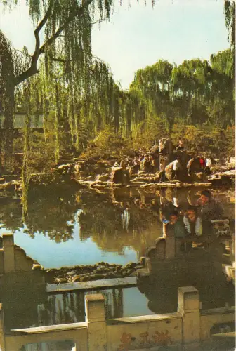 BR26002 lipseste delcampe