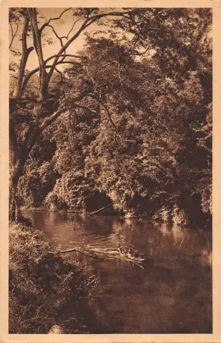 BR45265 Kamerun un coin de brousse Kamerun