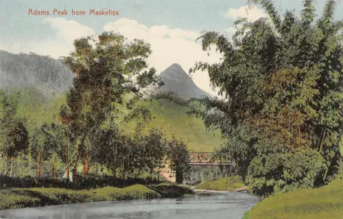 BR70551 adams peack aus maskeliya sri lanka ceylon