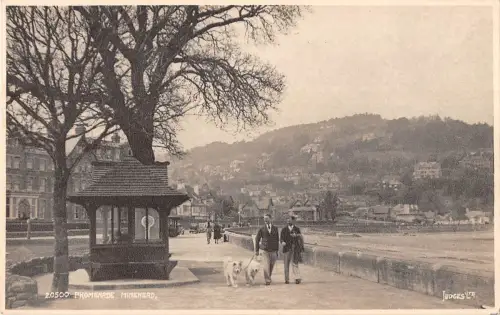 BR68539 Promenade Minehead Hund UK Richter 20500 Echtfoto