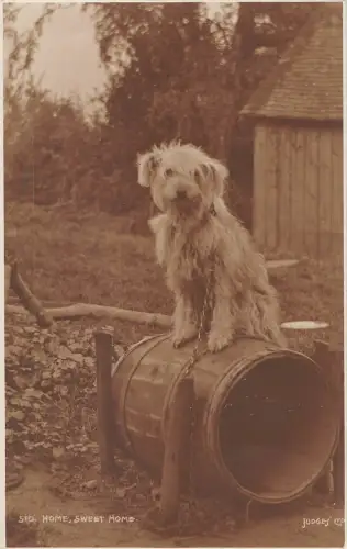 BR68454 Home Sweet Home Hund UK Richter 510 Echtfoto